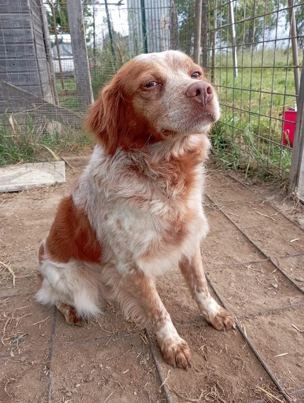 Charlie! Di Fronte La Fotocamera Charlie Si Mette In Posa...